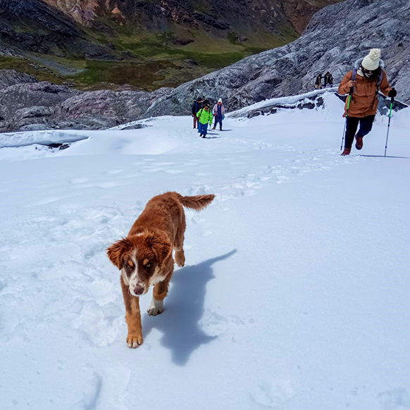 Nevado Rajuntay, Tour Rajuntay