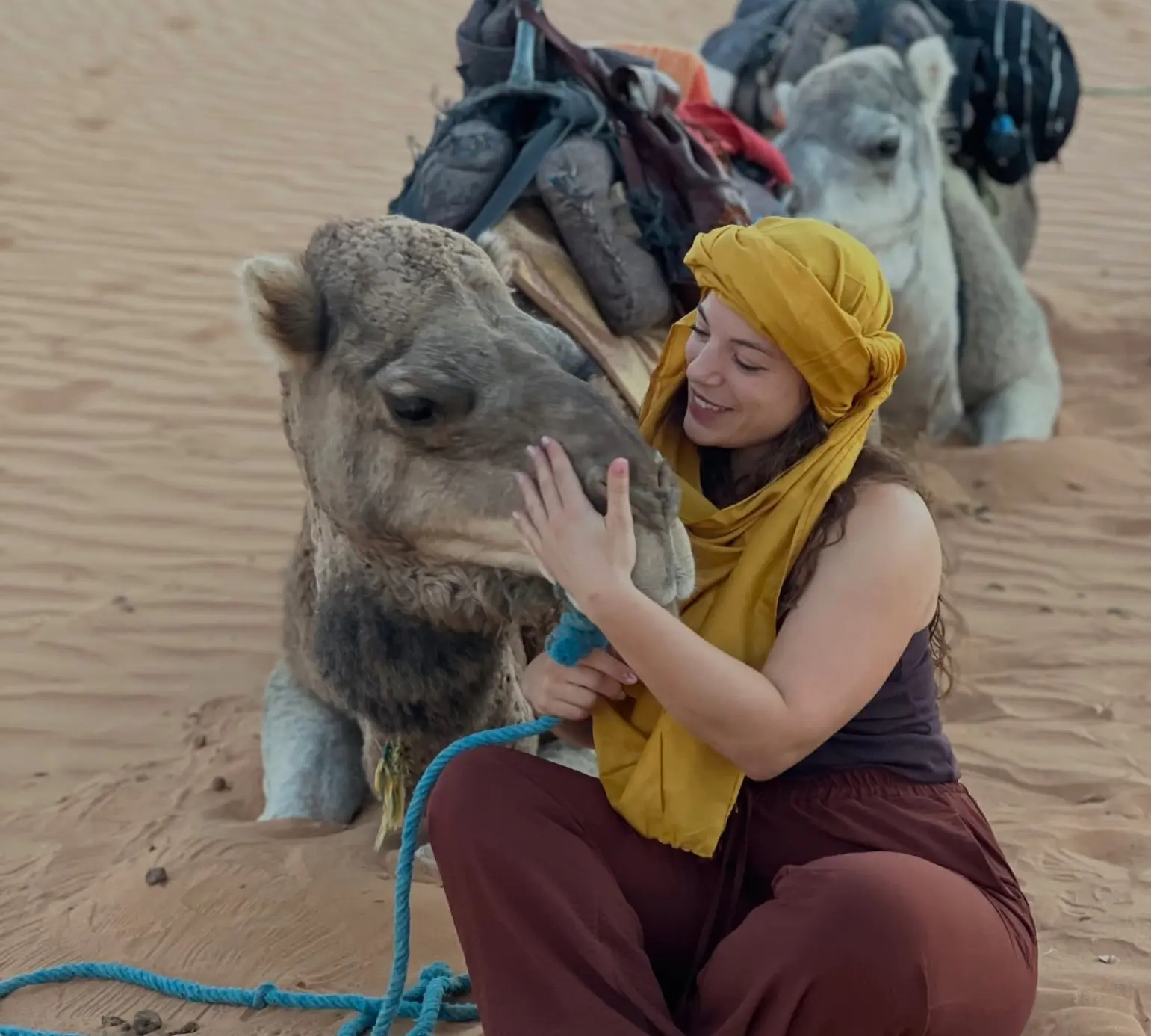 Tour Dromedarius Huacachina desde Lima