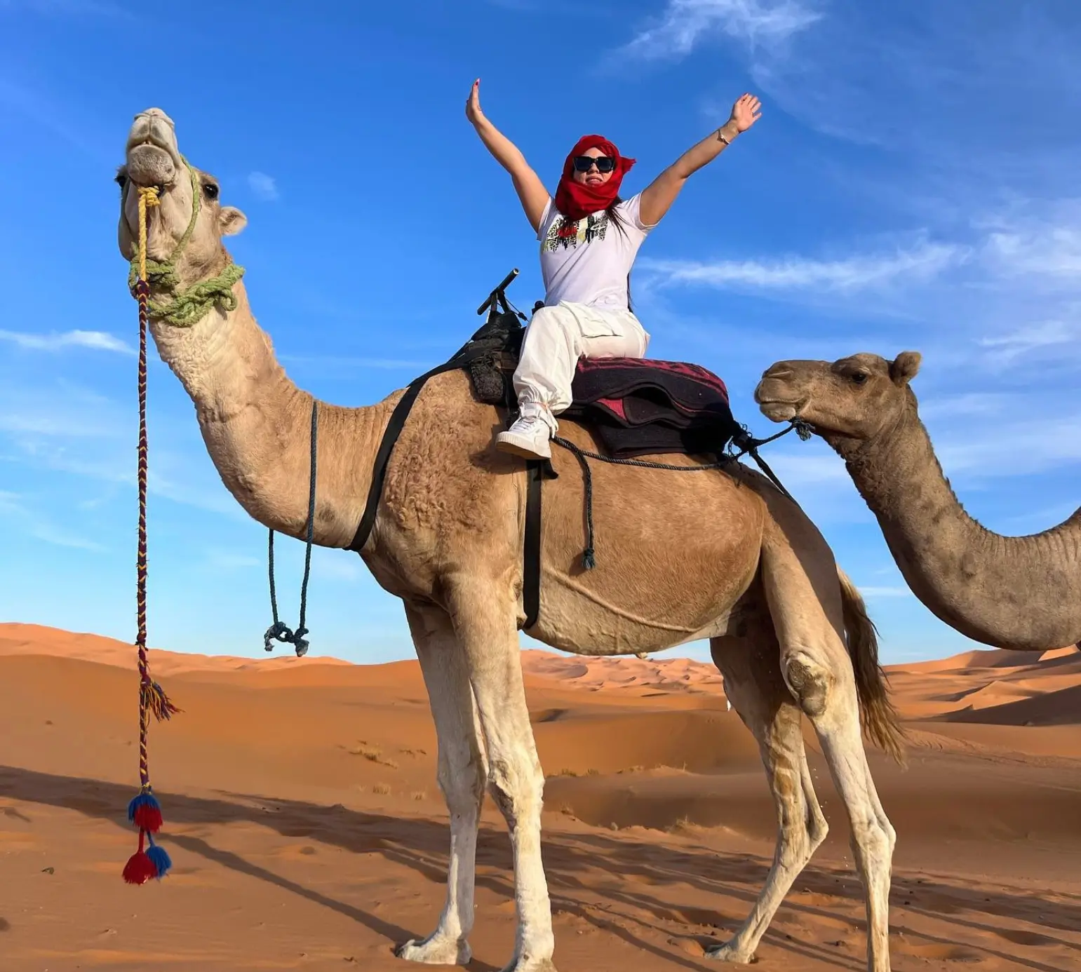 Tour Dromedarius Huacachina